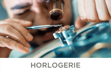 Formations en alternance en Horlogerie