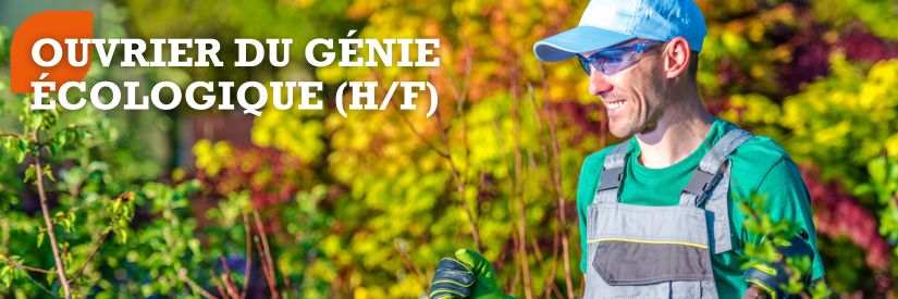 Devenez Ouvrier du Génie Écologique avec l'Afpa Occitanie : Restaurez et préservez les écosystèmes