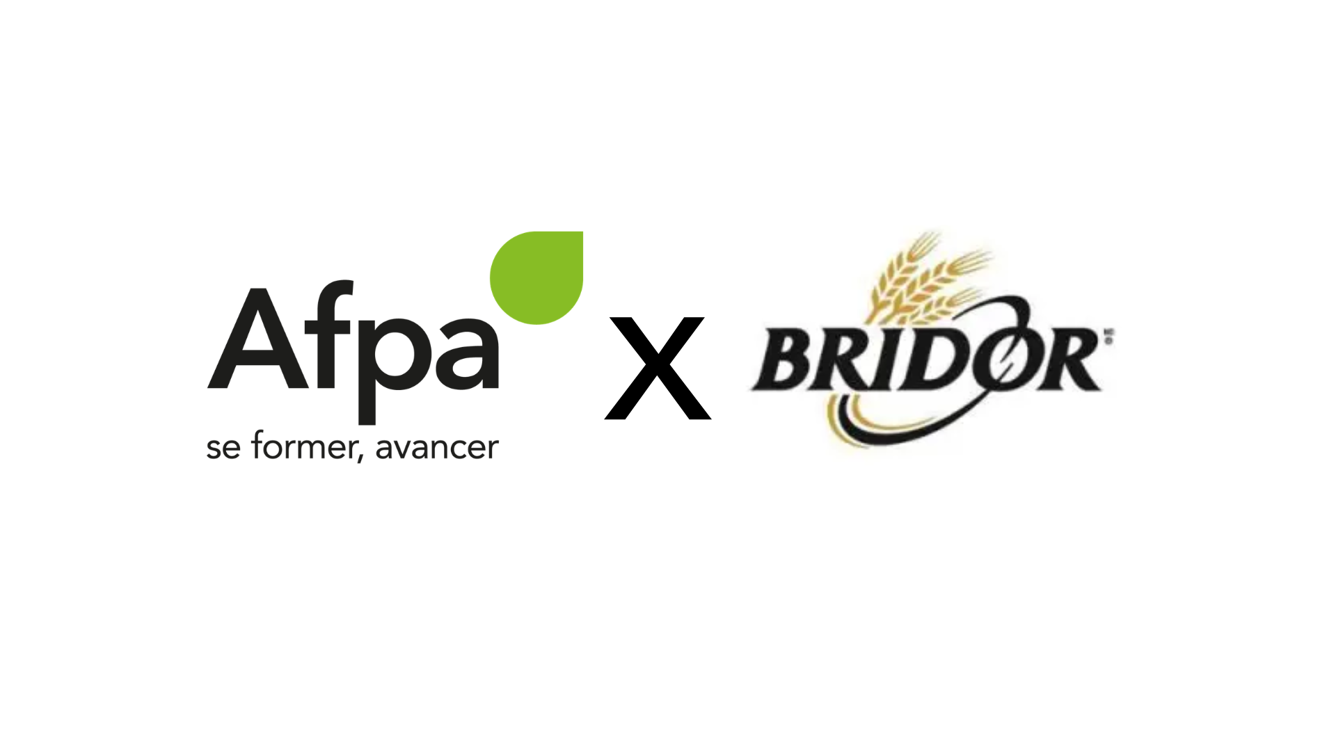 Afpa X Bridor