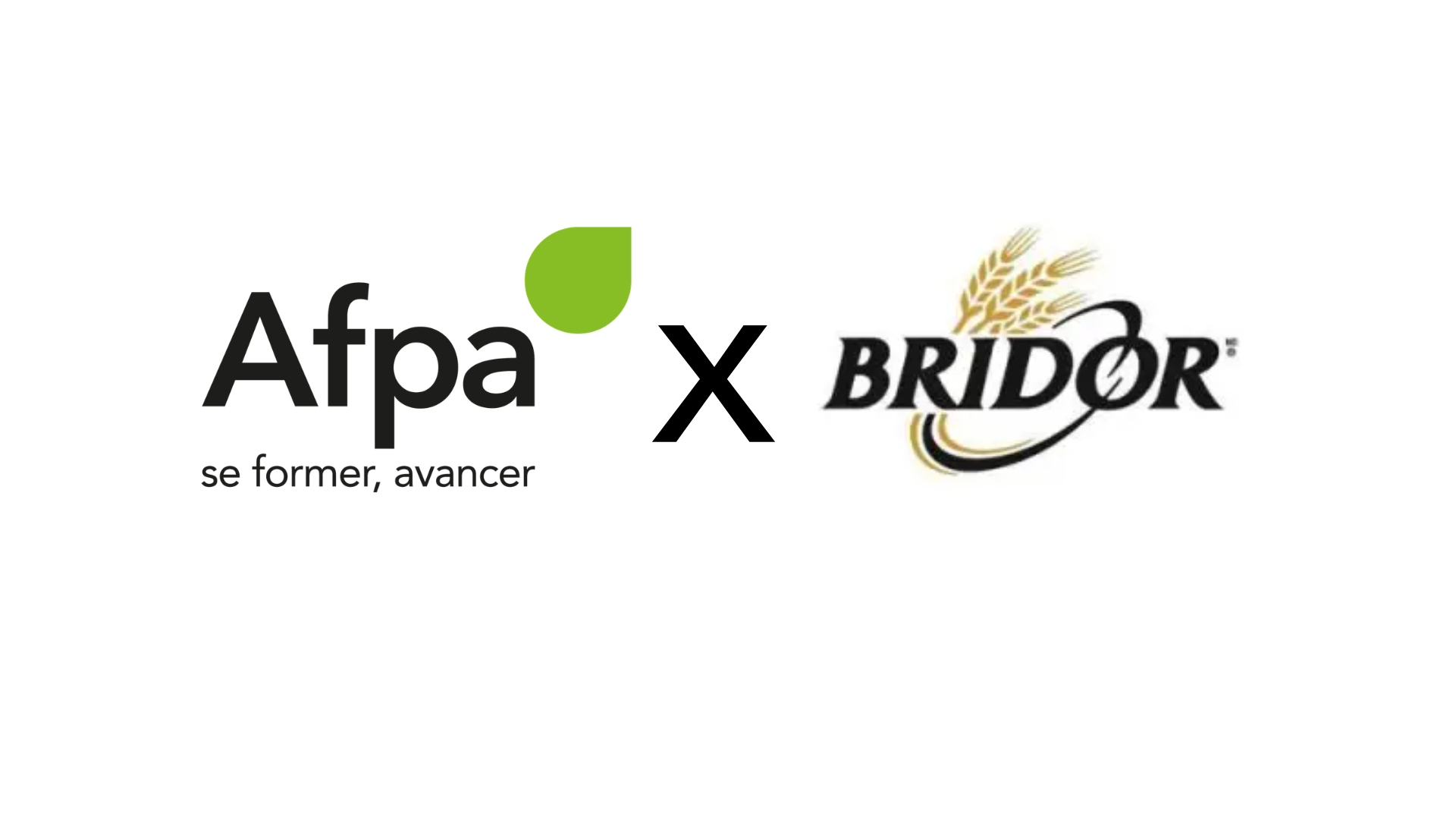 Afpa X Bridor