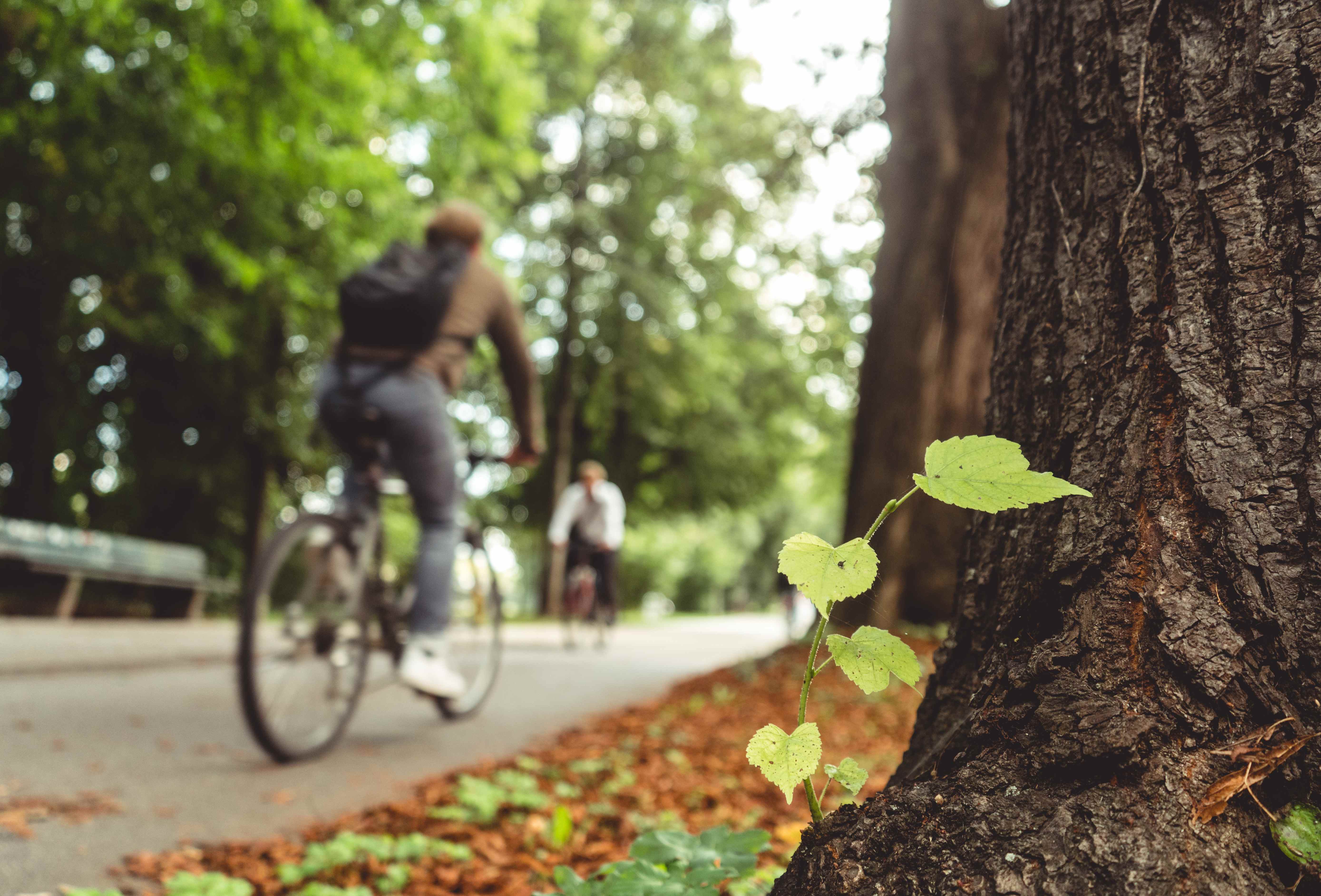 L'Afpa Grand Est partenaire du projet LivableCities