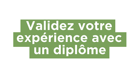 Tout sur la VAE